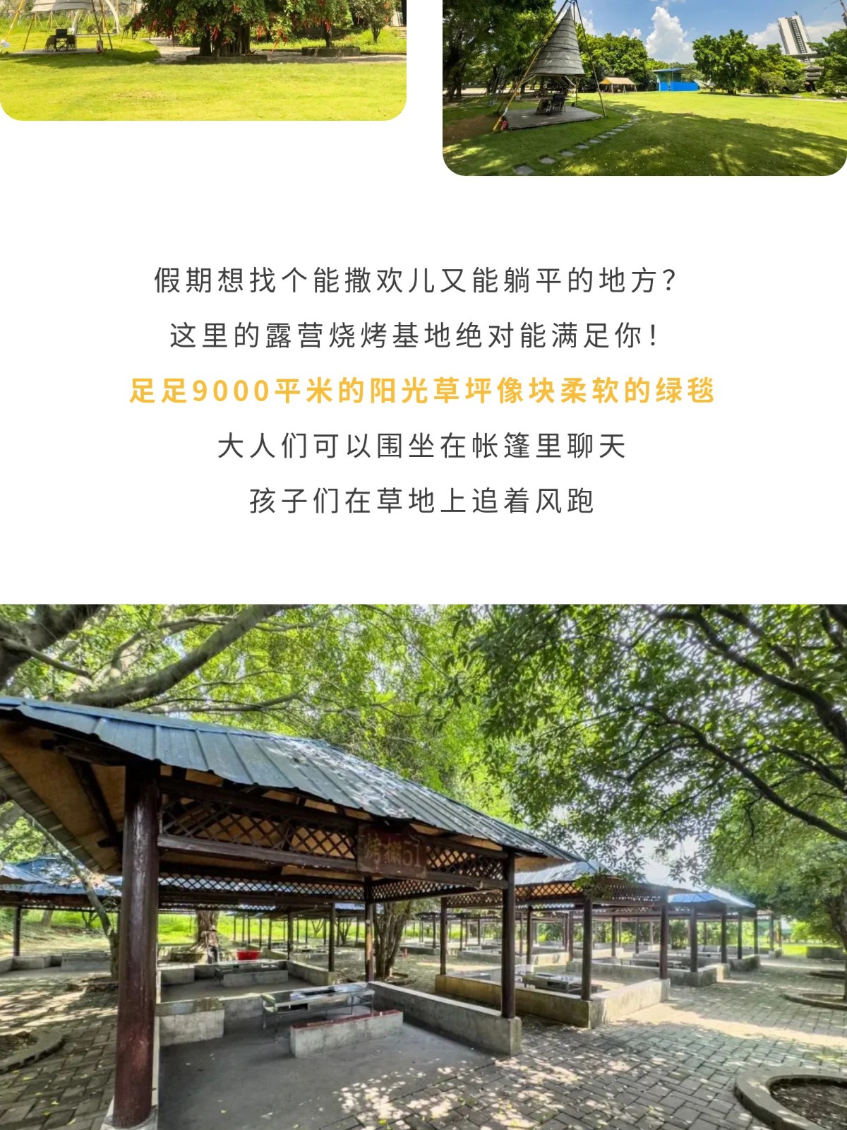 show_644989967_1756609425281_slice_11.jpg show_644989967_1756609425281_slice_11.jpg